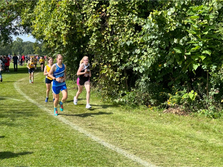 Image of DMS cross country runners.